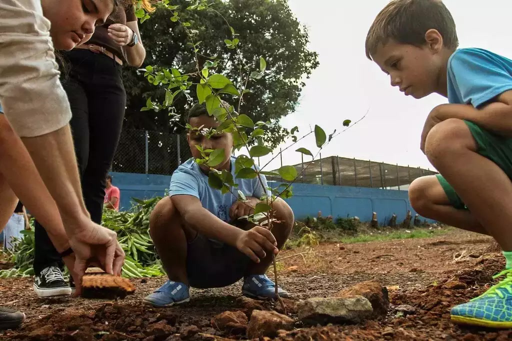 Crianças plantando muda de árvore com apoio de adultos